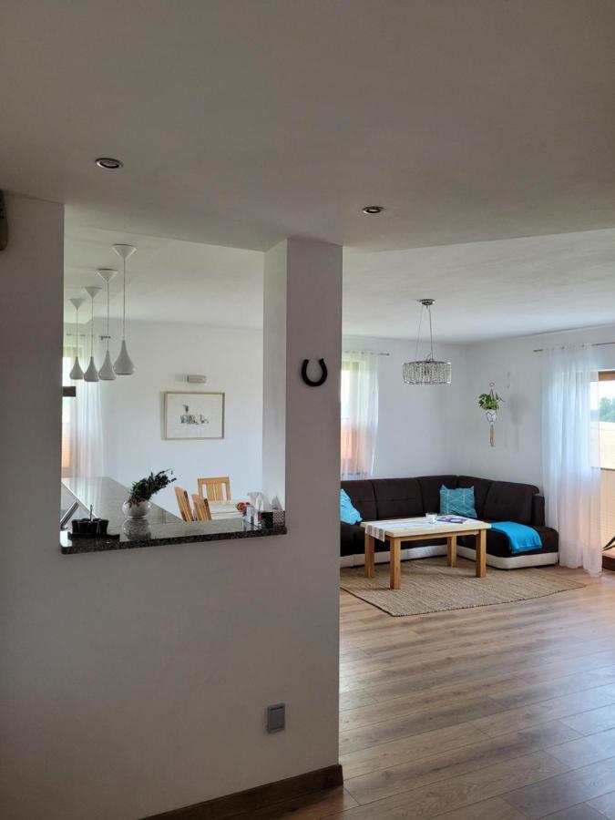 Agroturystyka Kaszuby Villagehome Borzytuchom Exteriér fotografie