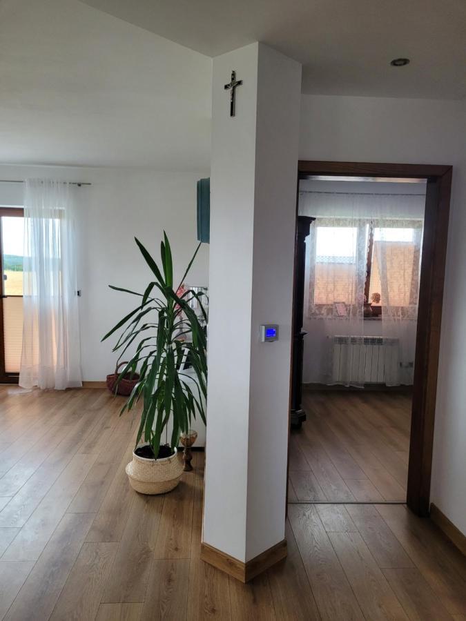 Agroturystyka Kaszuby Villagehome Borzytuchom Exteriér fotografie