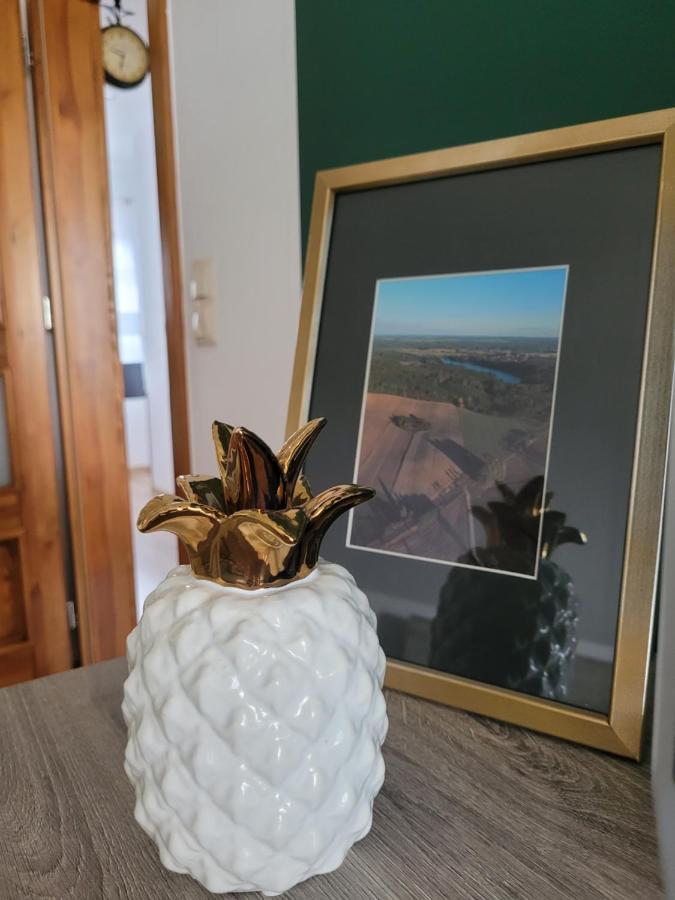 Agroturystyka Kaszuby Villagehome Borzytuchom Exteriér fotografie
