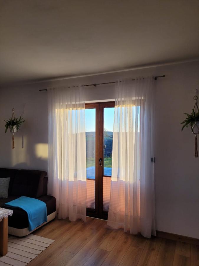 Agroturystyka Kaszuby Villagehome Borzytuchom Exteriér fotografie