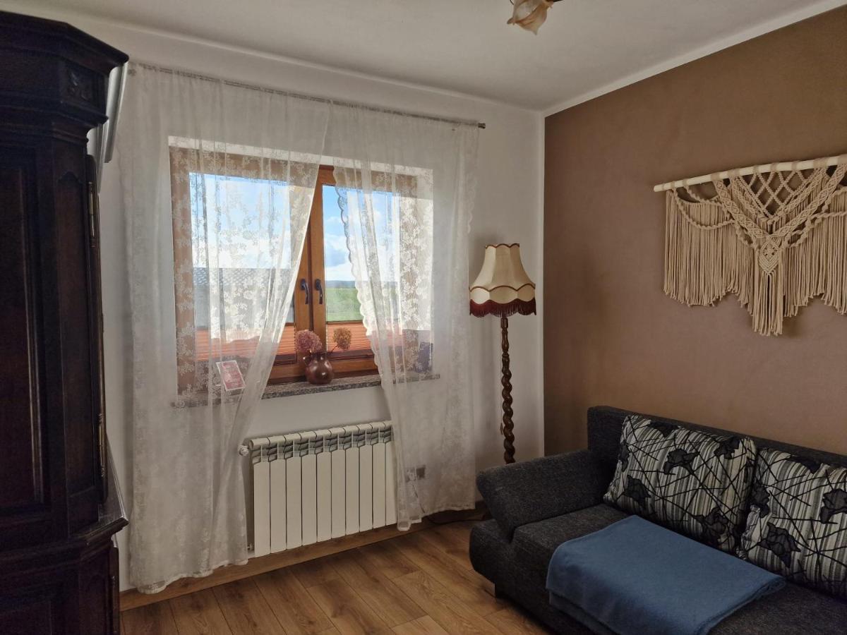 Agroturystyka Kaszuby Villagehome Borzytuchom Exteriér fotografie