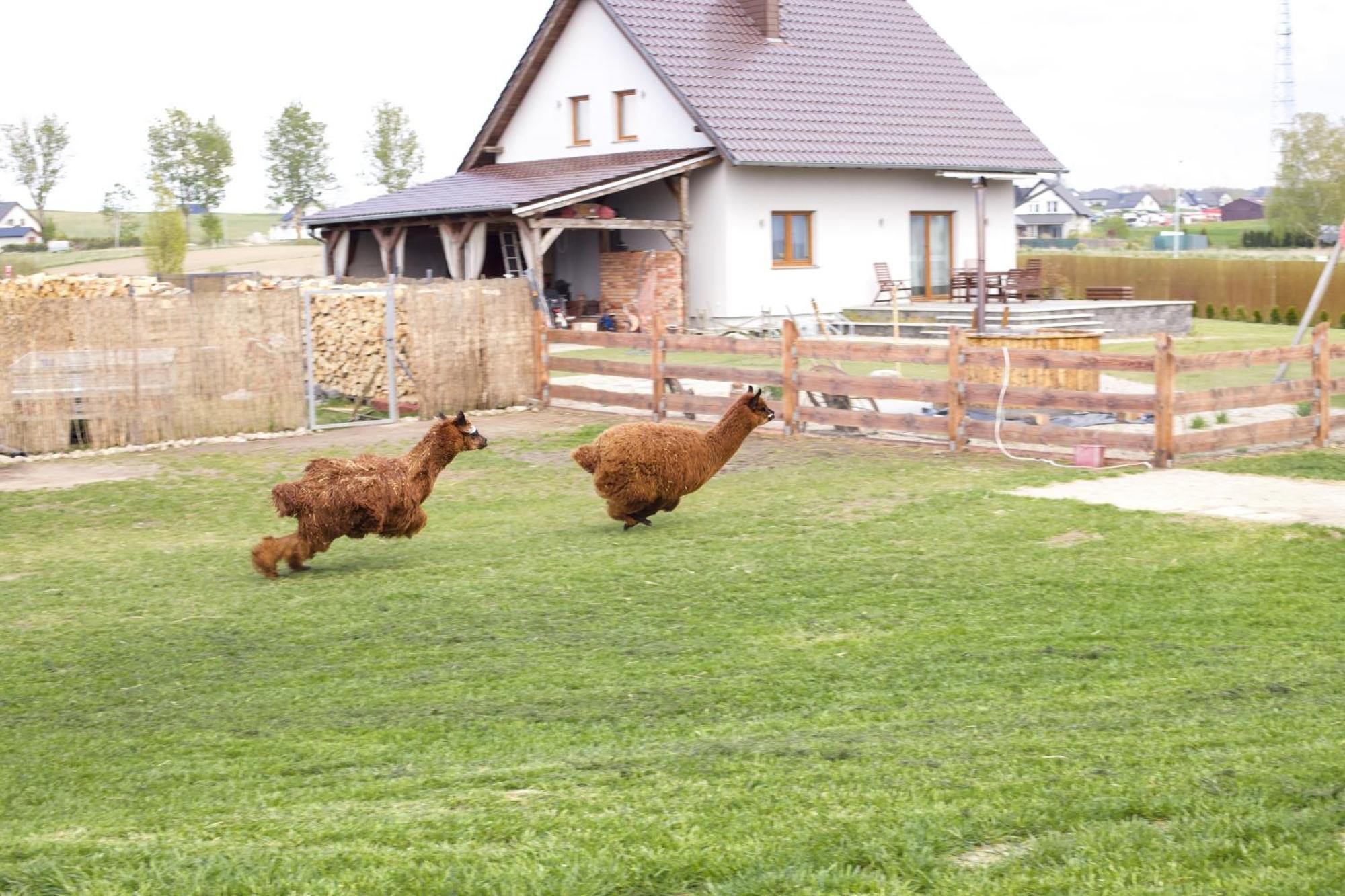 Agroturystyka Kaszuby Villagehome Borzytuchom Exteriér fotografie